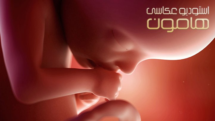 هوش جنین در چه ماهی شکل می گیرد؟