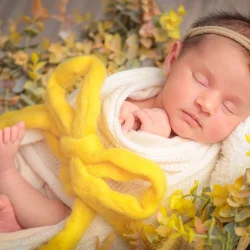 آتلیه نوزاد در نور آتلیه نوزاد در نور