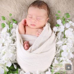 آتلیه نوزاد در نور آتلیه نوزاد در نور